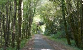 Voie verte Sarlat proche location saisonnière - Calama Selva - Vitrac - Proche Sarlat - Périgord Noir - Dordogne